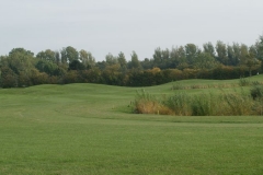 DSC00446