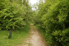 DSC00108