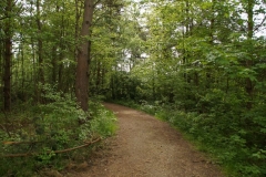 DSC00117