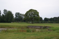 DSC00593