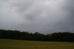 DSC00381