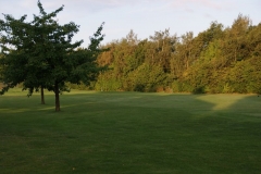 DSC00026