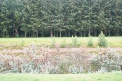 DSC00051