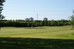 DSC00946