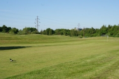 DSC00954