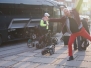 Sverige 2015