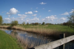 DSC00292