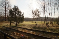 c001