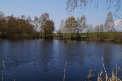 c119-2